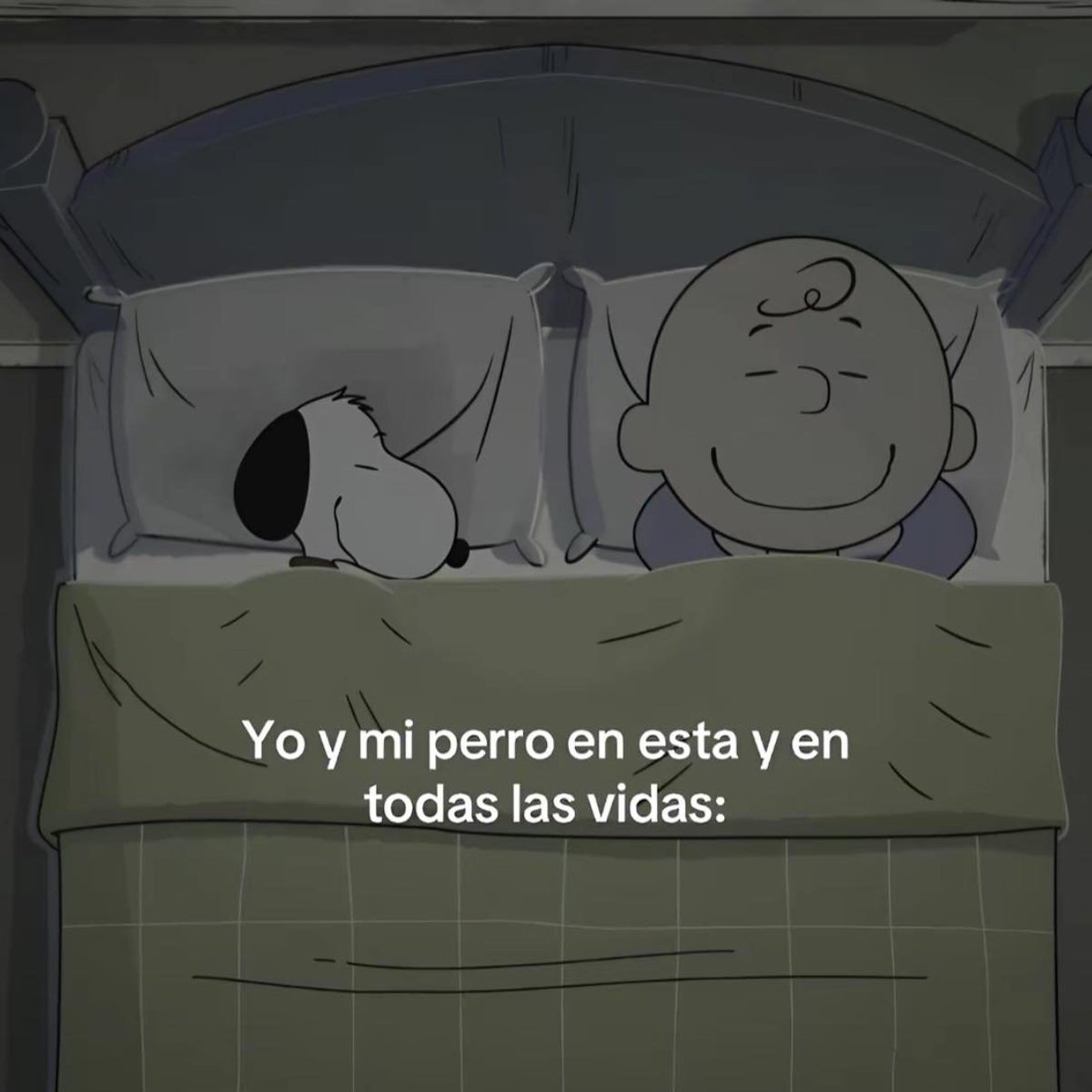 BANDIDOS (@bandidosfrasess) on Twitter photo 
