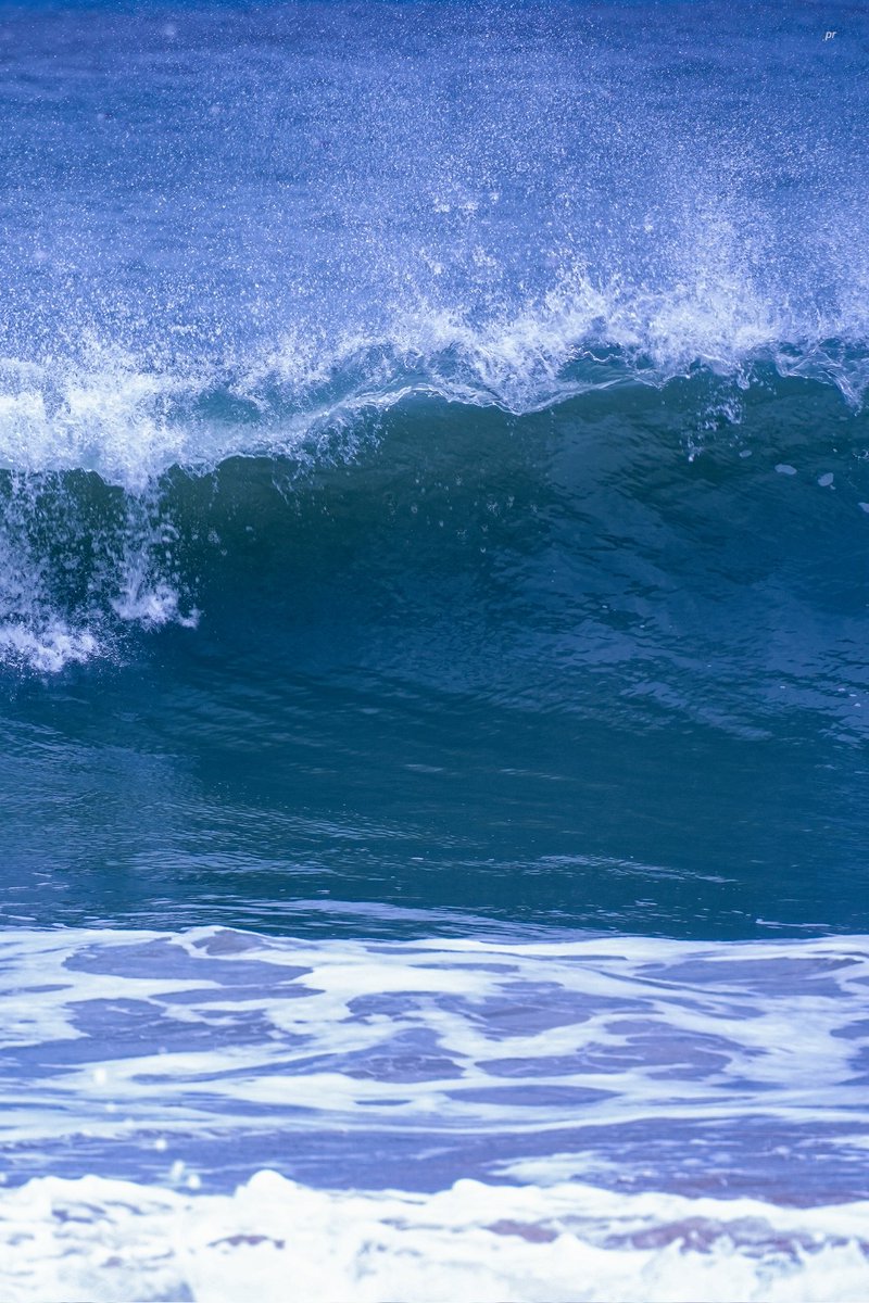 ᵖᵘʳᵃᵈᵉ tweet media