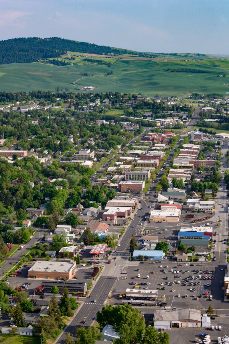 Andrew Morgan tweet media