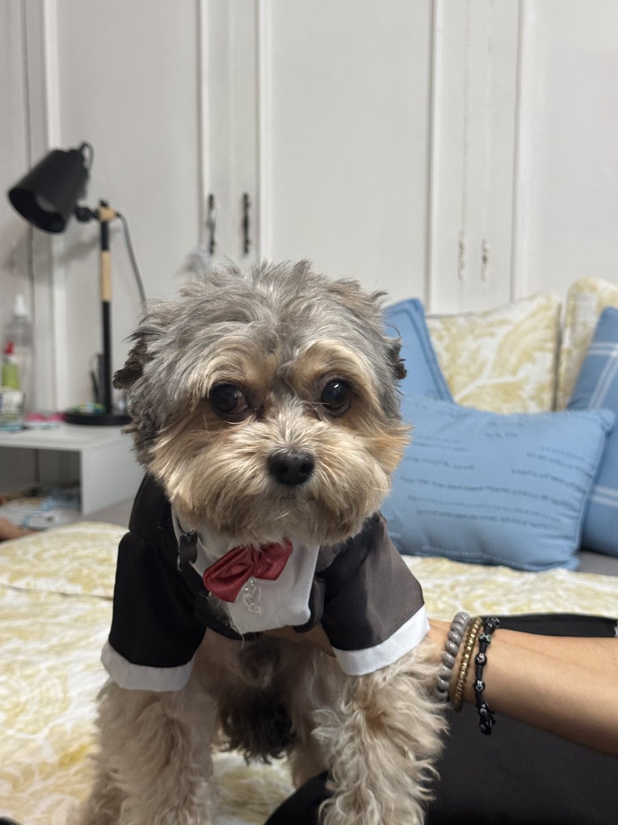 El asilado Bruno ya listo para partir a la bella y hermana República de Nicaragua <a href="/soybrunooficial/">Bruno Martinelli</a>