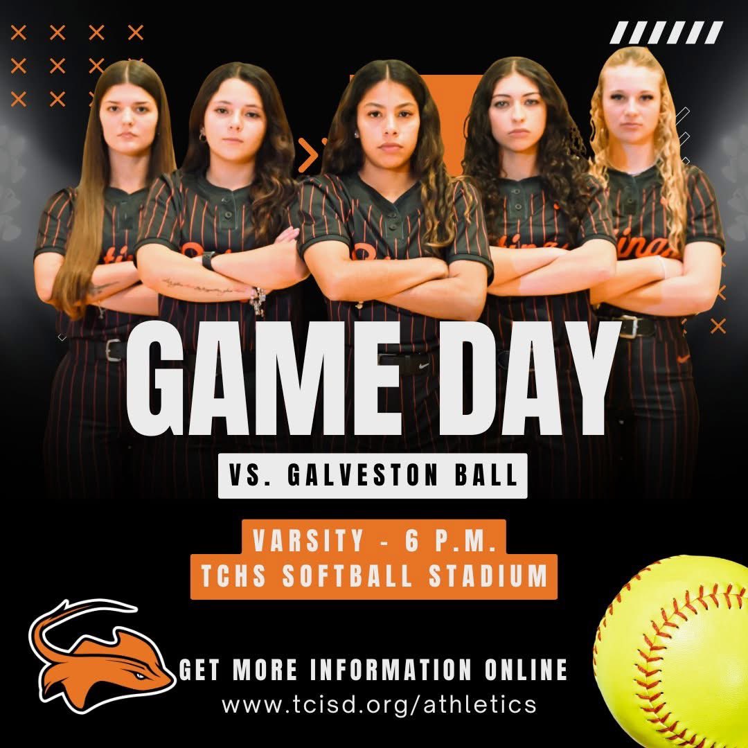 Lady Stings Softball tweet media