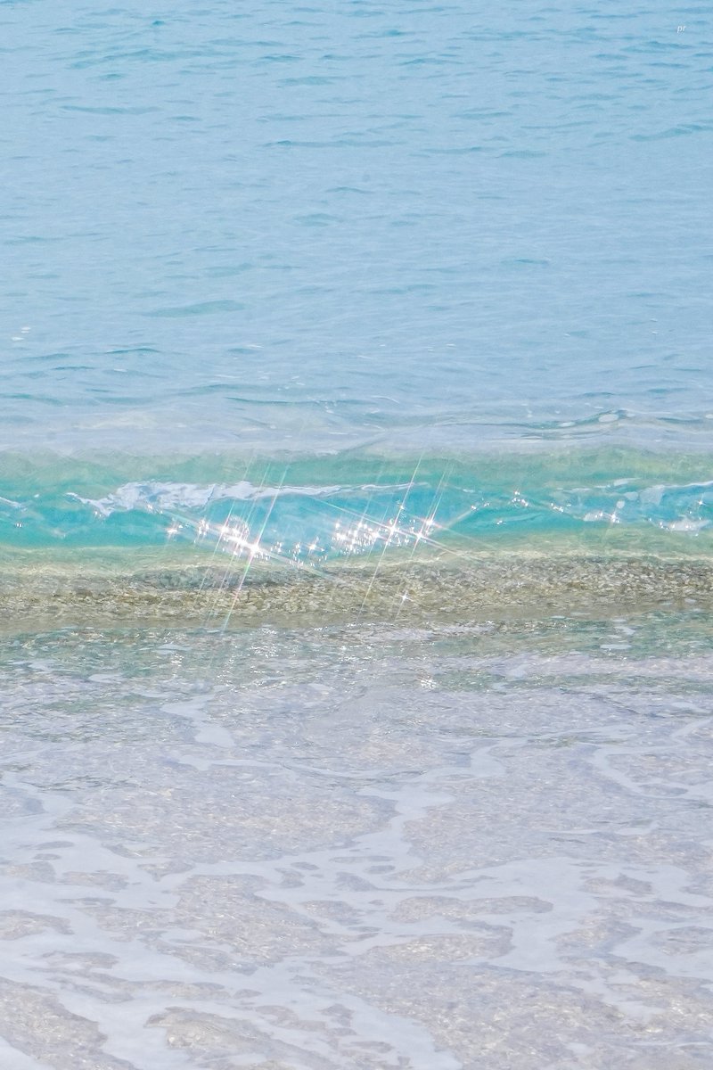 ᵖᵘʳᵃᵈᵉ tweet media