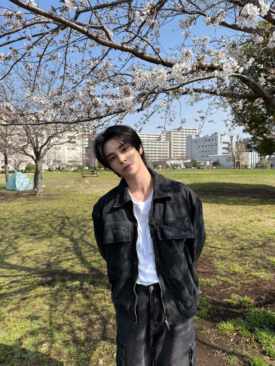 mogurimz's tweet photo. 250401 🐺🫧

serim with cherry blossoms🌸 https://t.co/P7HxnTbuyF