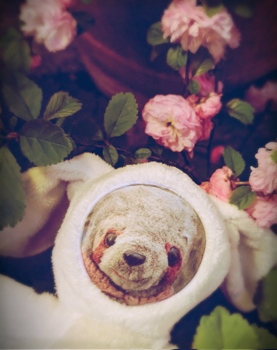 BiddieBunnies's tweet image. Little Ian loves you all so much! 💋 #spring #monday #mondayfun #MondayFunday #MondayVibes #teddybear #plushie #Trending