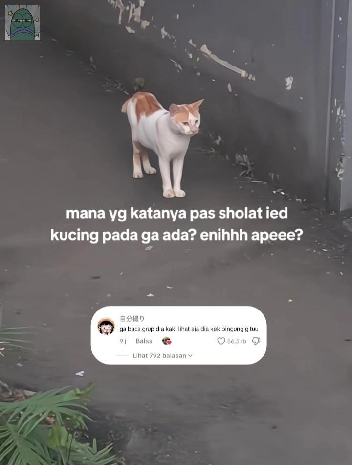 💚 l a t e p o s t