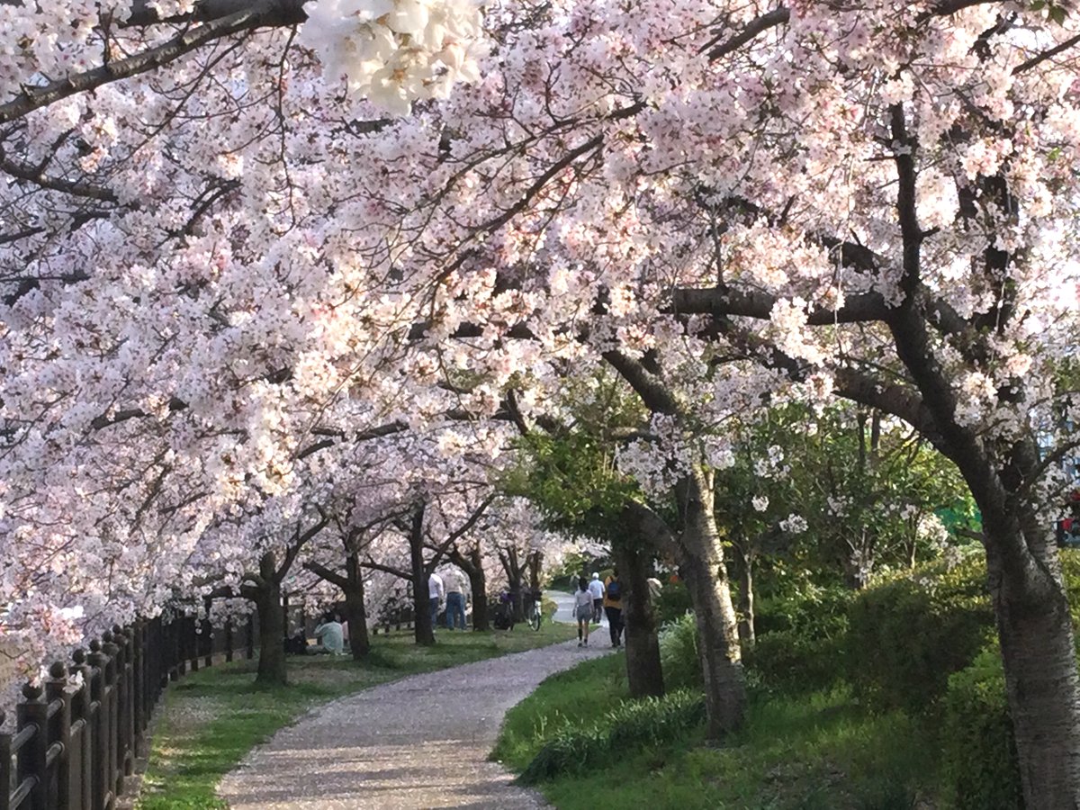 本日より新年度です。

今年度も引き続き、ZER01CHIをよろしくお願いします。

デジタルの時代の新規事業の立ち上げ、事業拡大や事業再構築、さらには事業再生や事業承継の課題を、知識と経験とネットワークを駆使して解決させて頂きます。

ぜひご相談ください。