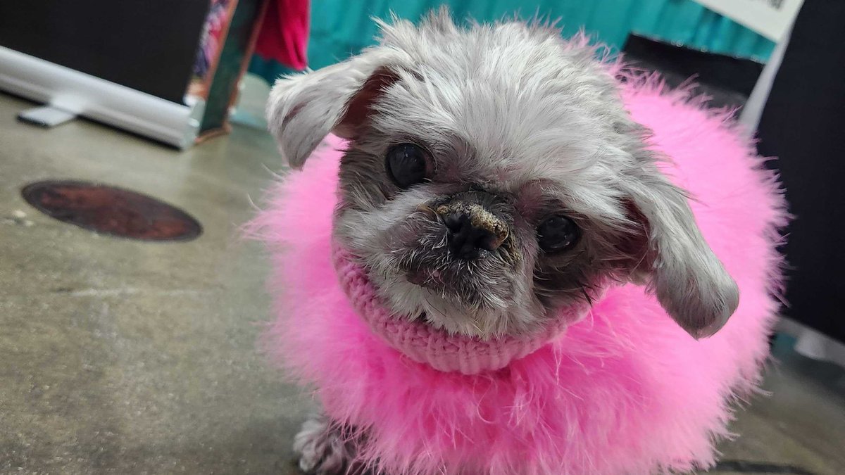 That’s a wrap on #AWP! Thank you to those who visited our booth!