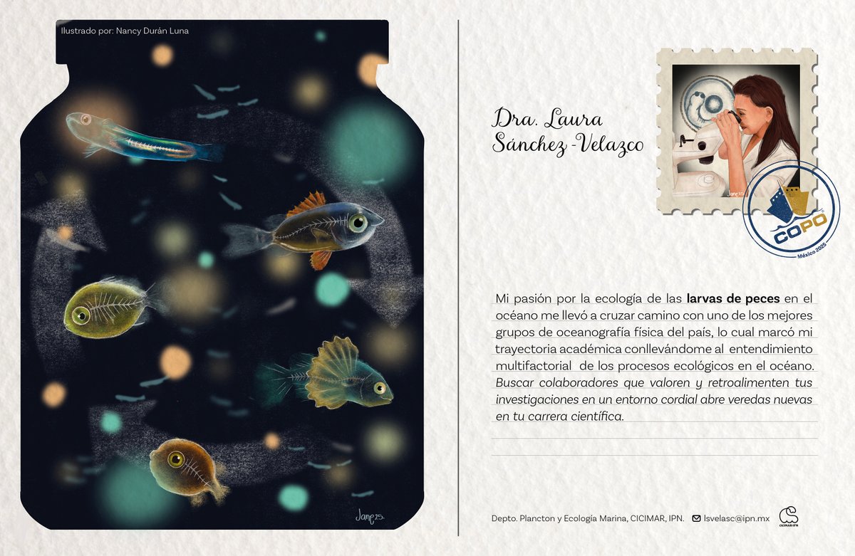 🌊 ¡Explora el Océano a Través de Ellas! 🌊
2a. Edición:Compartiremos la trayectoria de investigadoras que exploran, estudian y protegen el océano,acercándonos a sus experiencias,conociendo sus áreas de especialidad y destacando el impacto de las mujeres científicas en el mar🔬