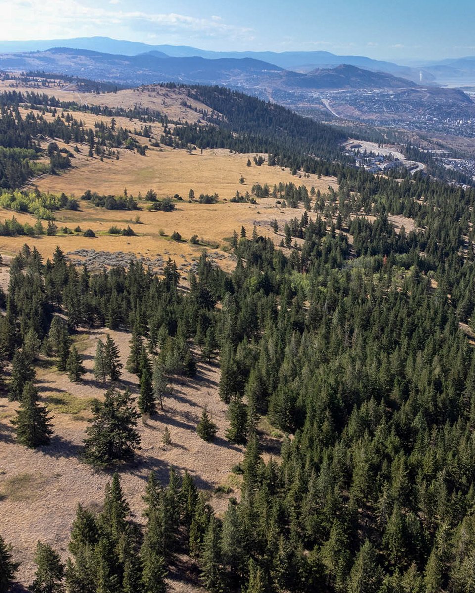 Today is the last day to make a lasting impact and help protect the stunning grasslands near Juniper Ridge! Don’t miss this chance to be part of this lifelong legacy.

This breathtaking 517-acre landscape east of Kamloops is home to rare grasslands, centuries-old trees, and vital