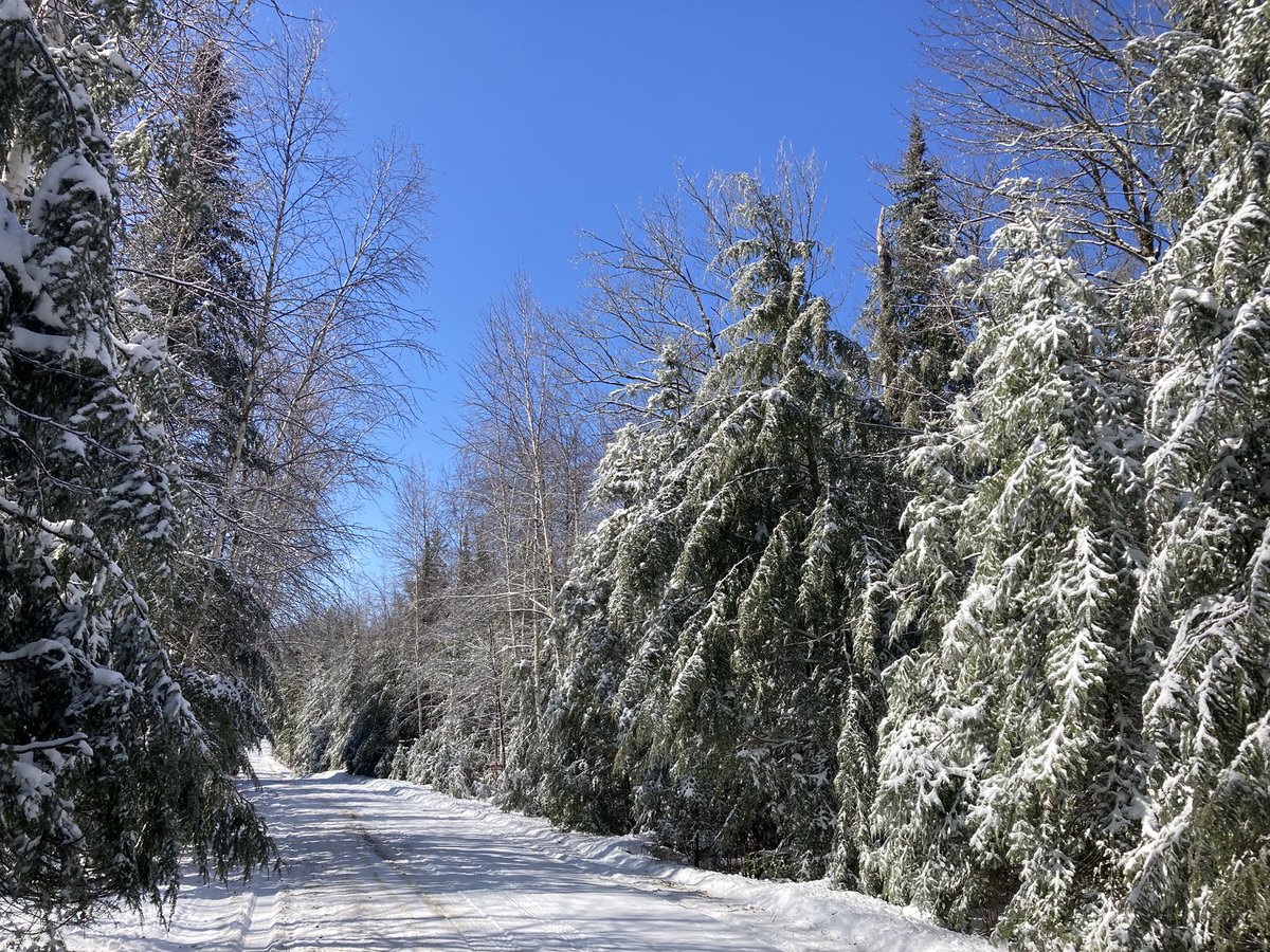 Spring Break. All snow. No fishable Ice. 
30 Days until WI Opener