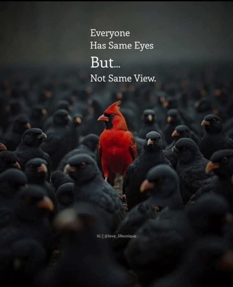 TheFightmasster's tweet image. No one sees the same view, even though we share the same eyes. Their unique mind shapes each person&apos;s perspective.#Logical_Reasoning