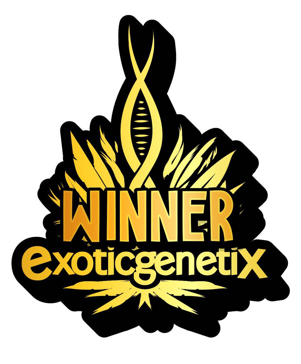 Exoticgenetix (@exoticgenetix) on Twitter photo πππ Congrats to <a href="/BeckyStilwell4/">greenlove ππ</a> on winning the last post giveaway for a complimentary pack of Gooch Goblin!!! Please open a support ticket in the discord.gg/exoticgenetix to claim your prize. π€πΌπ€πΌπ€πΌ #winner #goochgoblin #exotic4ever πππ Congrats to <a href="/BeckyStilwell4/">greenlove ππ</a> on winning the last post giveaway for a complimentary pack of Gooch Goblin!!! Please open a support ticket in the discord.gg/exoticgenetix to claim your prize. π€πΌπ€πΌπ€πΌ #winner #goochgoblin #exotic4ever