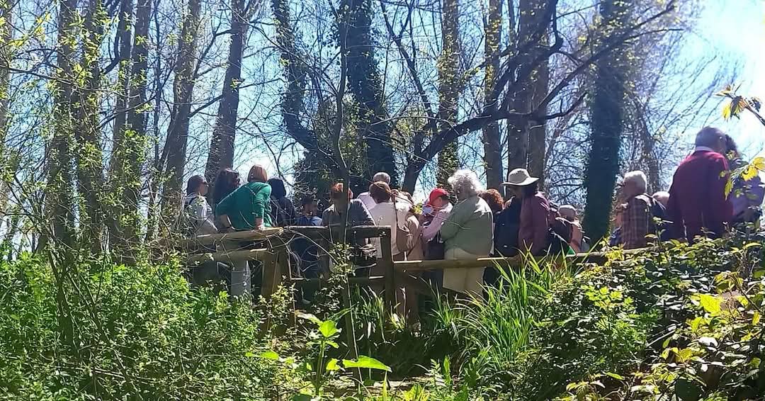 CastillejaCta's tweet photo. 🌞 ¡Magnífica visita este fin de semana a #Constantina! Vecinos y vecinas han disfrutado del buen tiempo y de los paisajes de este bonito pueblo de la provincia, en esta excursión organizada por el Ayuntamiento. 

#Turismo #TurismoSev  
#tuayuntamientoatuservicio https://t.co/yZIHz9U4oX