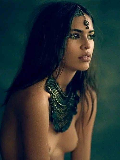 Native Americans' tweet media