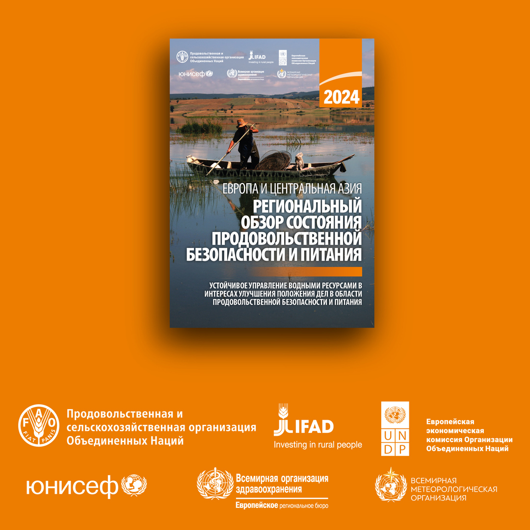 В Европе и Центральной Азии показатели недоедания среди детей снизились, в то время как ожирение продолжает расти, затрагивая как взрослых, так и детей.  

Подробнее в докладе <a href="/UN/">United Nations</a> 👉 openknowledge.fao.org/server/api/cor…