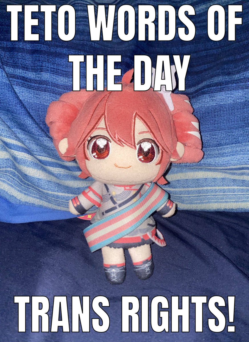 Smallplushwortd's tweet image. Today's trans visibility day!!! ^_^