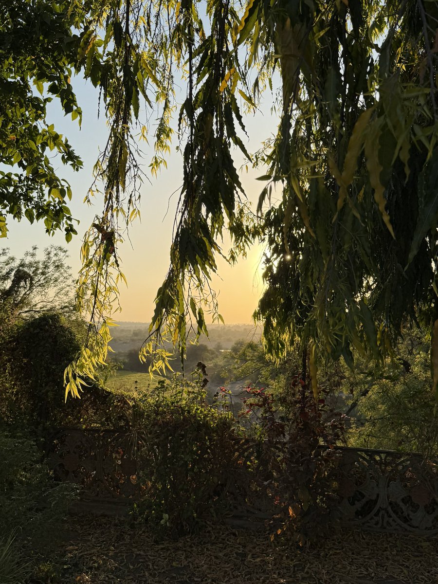 today I walked around the beautiful town of Rajpipla during golden hour