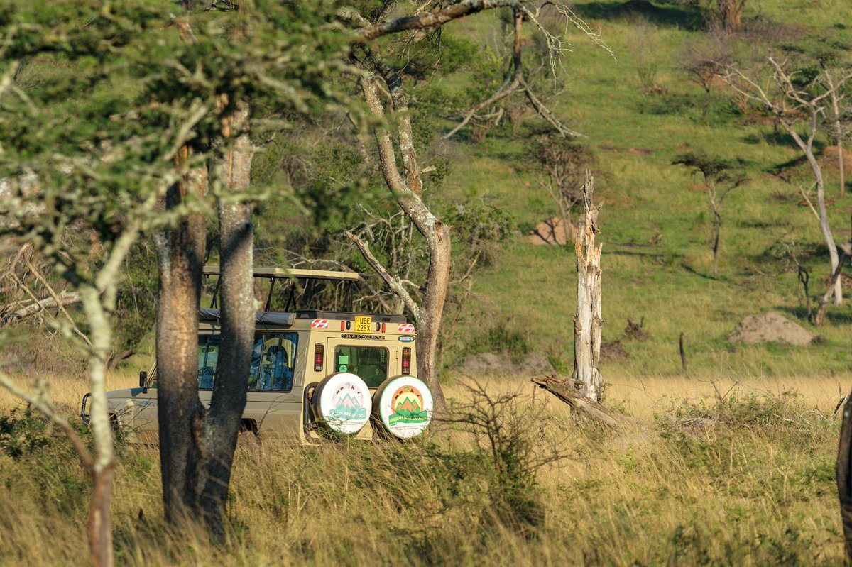 RockSafaris's tweet photo. Small but a gem: Lake Mburo National Park is at a prime location between Kampala the capital and L.Bunyonyi or Bwindi for those that would love to break that long Journey. 

Enjoy walking 🚶 with wildlife, cycling, horse back safaris, boat and game drives here.

#safari #wild https://t.co/NiGfcJ4GOF