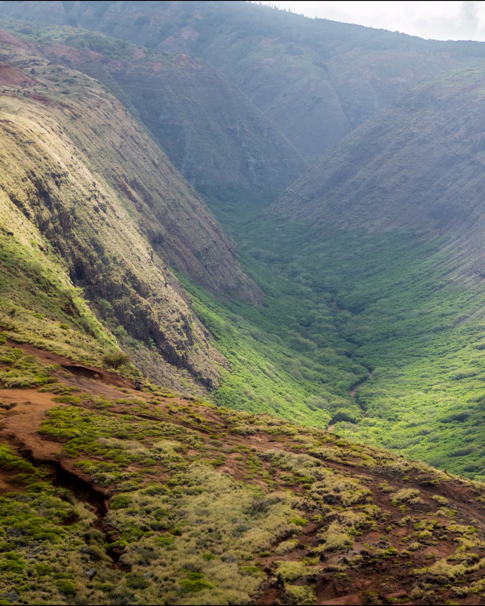 Join us June 2–7, 2025 for a Sensei Hiking Retreat for a 6 day, 5 night wellness experience led by knowledgeable Guides at Sensei Lānaʻi, A Four Seasons Resort. This retreat blends hiking, recovery, &amp; helps you reconnect with yourself bit.ly/43YTSzB