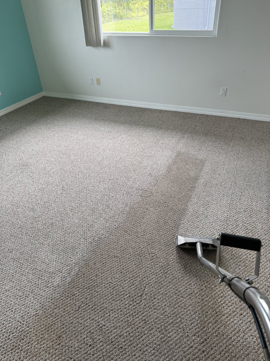 EdsCleaningHI's tweet photo. Is your carpet looking more like a science experiment than a cozy floor covering? π€ Fear not! Weβre here to rescue your carpets from their unfortunate fate! π ππ #CarpetCleaningWizards #TransformYourSpace #GoodbyeStains #CleanCarpetHappyLife #MagicInACleaningBottle #BigIsland https://t.co/ddzH1dxBJp