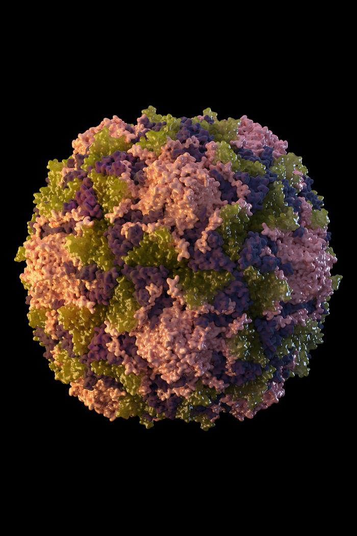 Advanced Molecular Detection (AMD) methods are getting us closer to #PolioEradication! A new strategy finds poliovirus faster &amp; more safely—without growing live virus. A multi-lab study showed strong results to help track &amp; stop polio sooner: bit.ly/40HRkCX