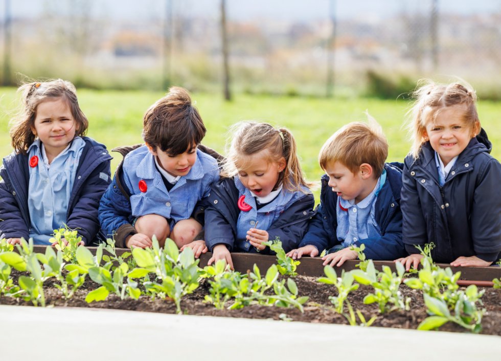 🏆 ¡Gran noticia! Alcaste·Las Fuentes ha sido reconocido entre los 50 mejores colegios de España según <a href="/elespanolcom/">EL ESPAÑOL</a>. 

Un reconocimiento a nuestro compromiso con la excelencia educativa. 🎓✨

🔗 alcaste.com/alcaste%c2%b7l…

#ExcelenciaEducativa #AlcasteLasFuentes