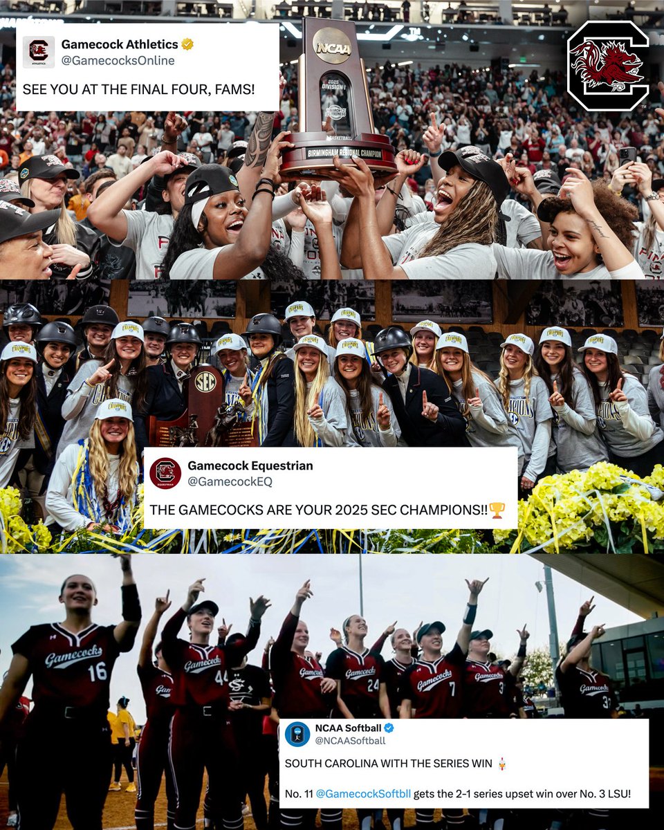What a weekend for Gamecock Country 🤙