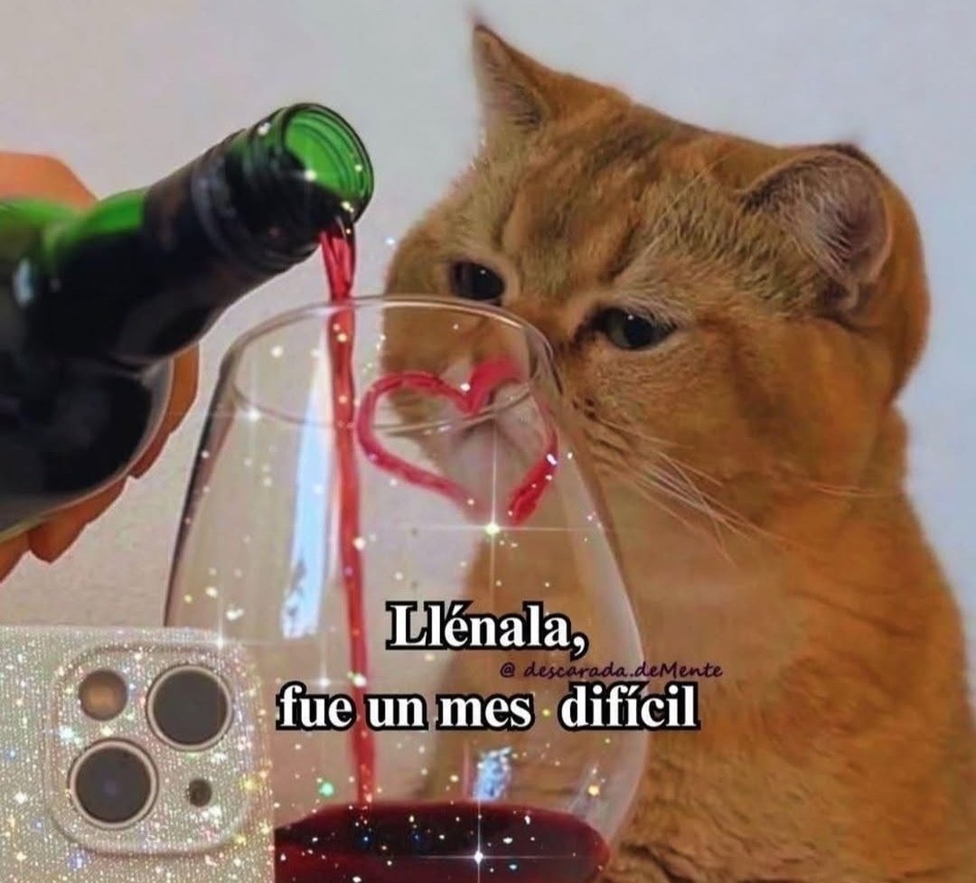 Frases Barbie tweet media