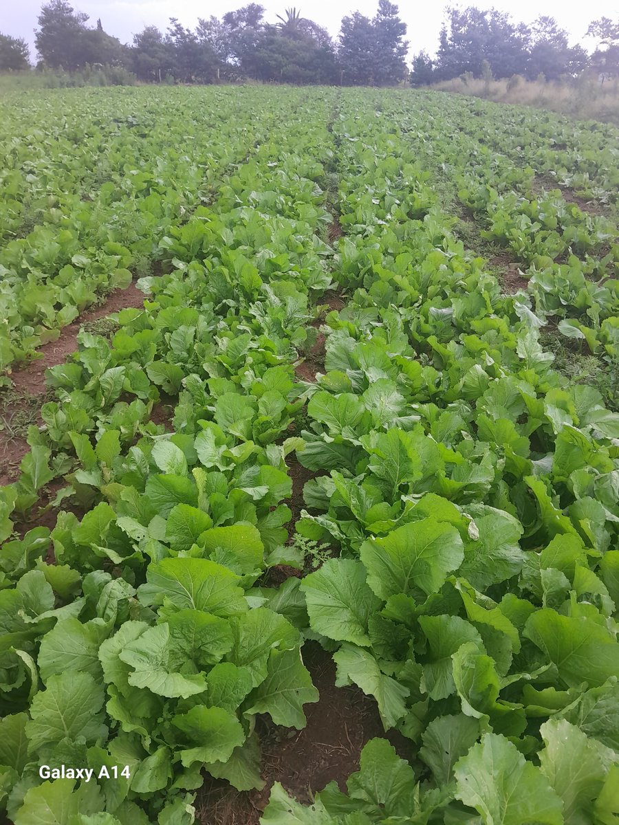 From our farm to your plate with love.