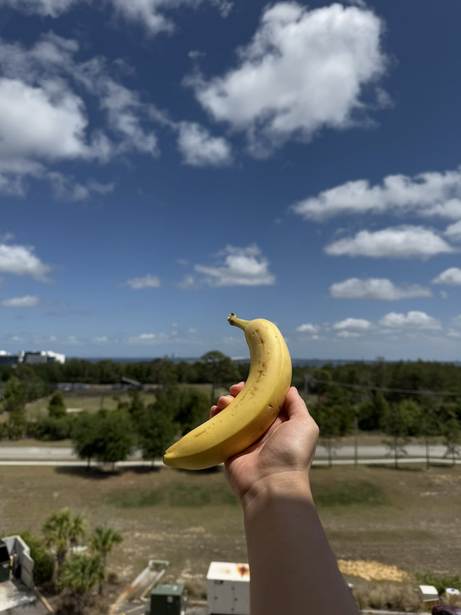 Today is a good weather day in Titusville.
Hope the <a href="/framonauts/">fram2</a> rocket launch goes smoothly.

Some wealthy people choose to buy a banana on a wall to stir up the news,

while others quietly go to space and make history. 😎😎😎🚀🚀🚀

#SpaceX #fram2