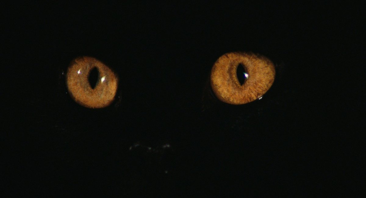 Your Vice is a Locked Room and Only I Have the Key (1972) dir. Sergio Martino