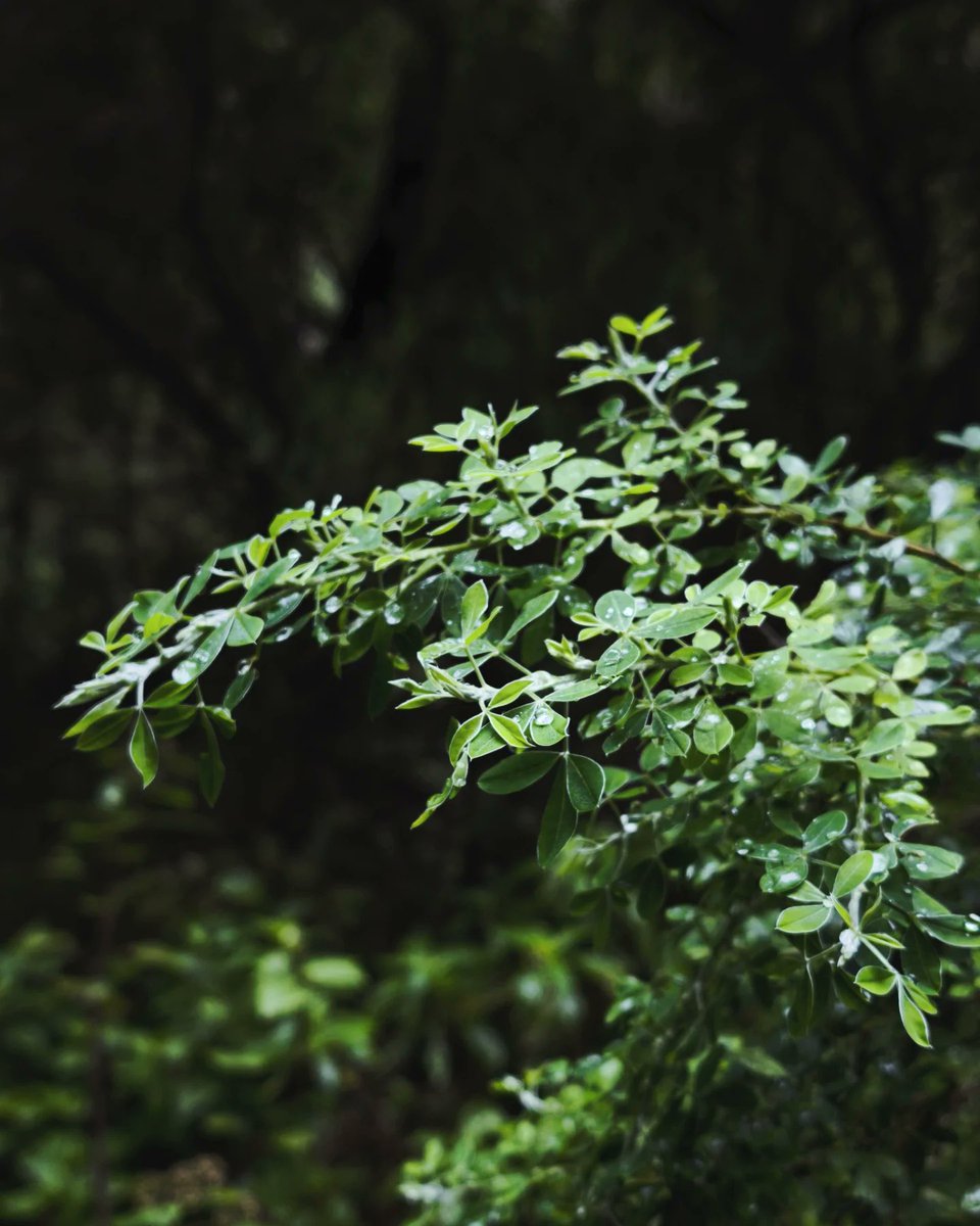 JBovski3D's tweet image. Texture references everywhere ☘️

#referencephoto #artinspo #environmentart