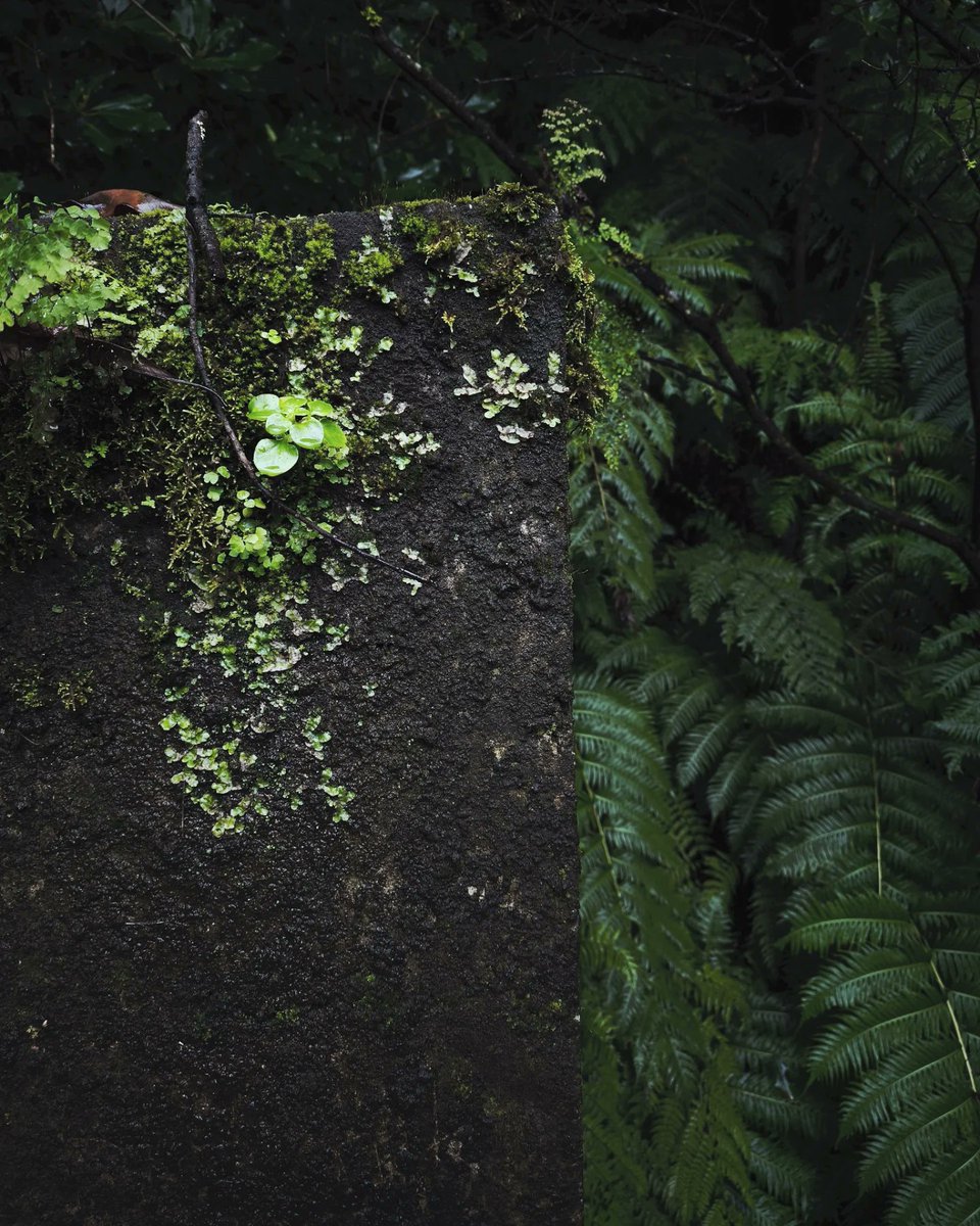 JBovski3D's tweet image. Texture references everywhere ☘️

#referencephoto #artinspo #environmentart