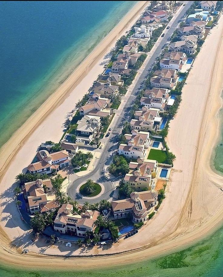 Wallpaper #USA #ELONXCAT