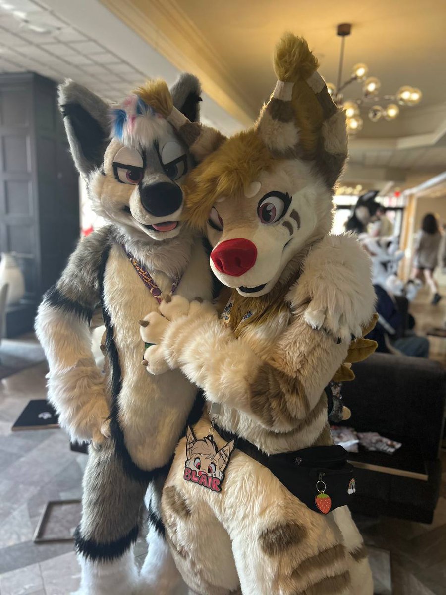 MCFC was a blast, can't wait to go back ✨ 

W/<a href="/LycaonWuff/">Lycaon</a> 
📸 Kai
📍<a href="/MotorCityFurCon/">Motor City Furry Con</a>