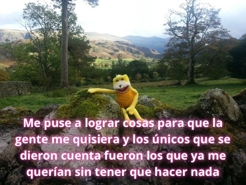 conoloracigarro's tweet photo. https://t.co/C1dCCRXAVD