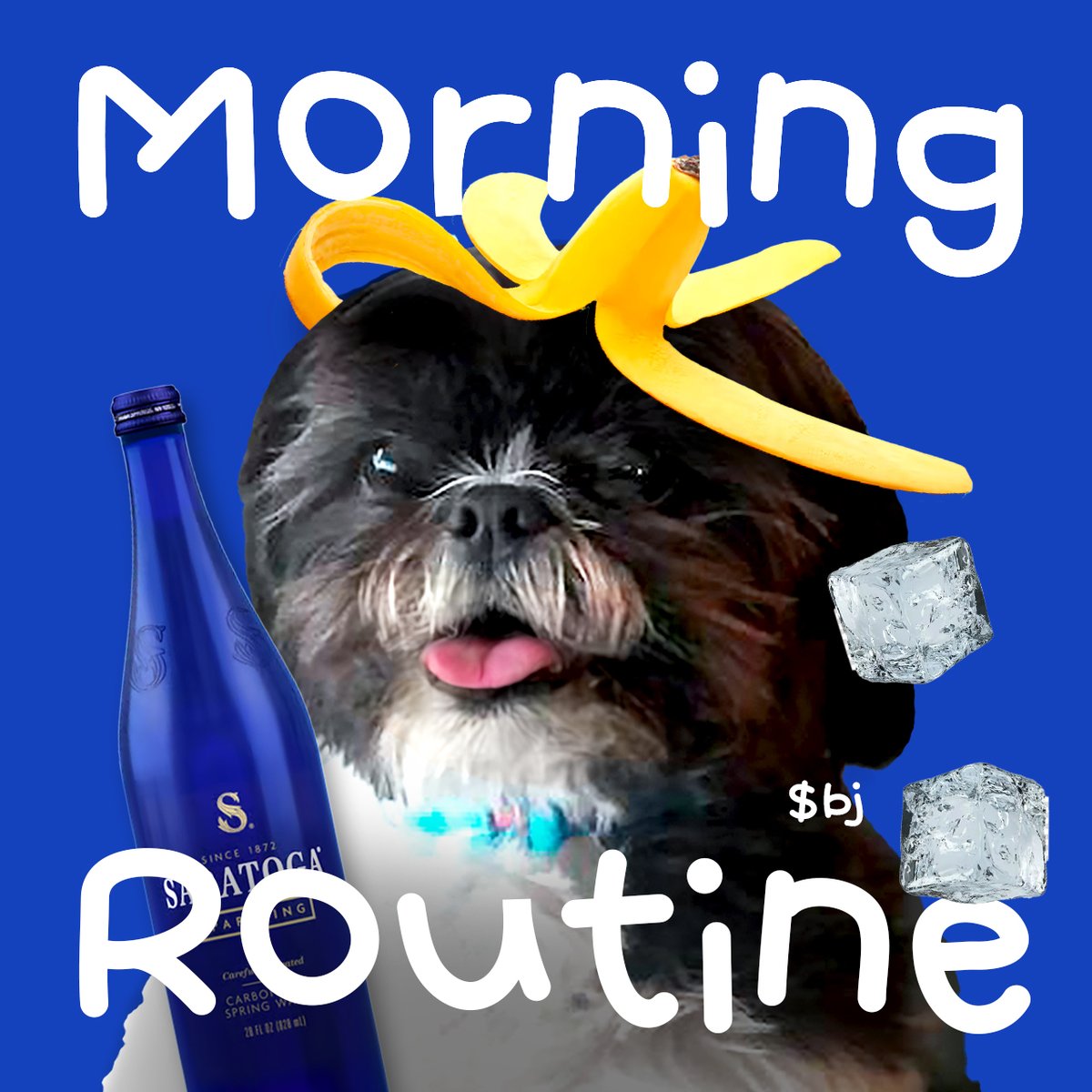 Here’s my elite morning routine (and daily schedule) for maximum productivity… or something like that.  

⏰ 8 AM: Wake up (technically)
🛌 9 AM: Nap #1 – because why not?
🍔 12 PM: Lunch – the most important meal of the day
📊 2 PM: Stare at charts like I understand them
😴 4