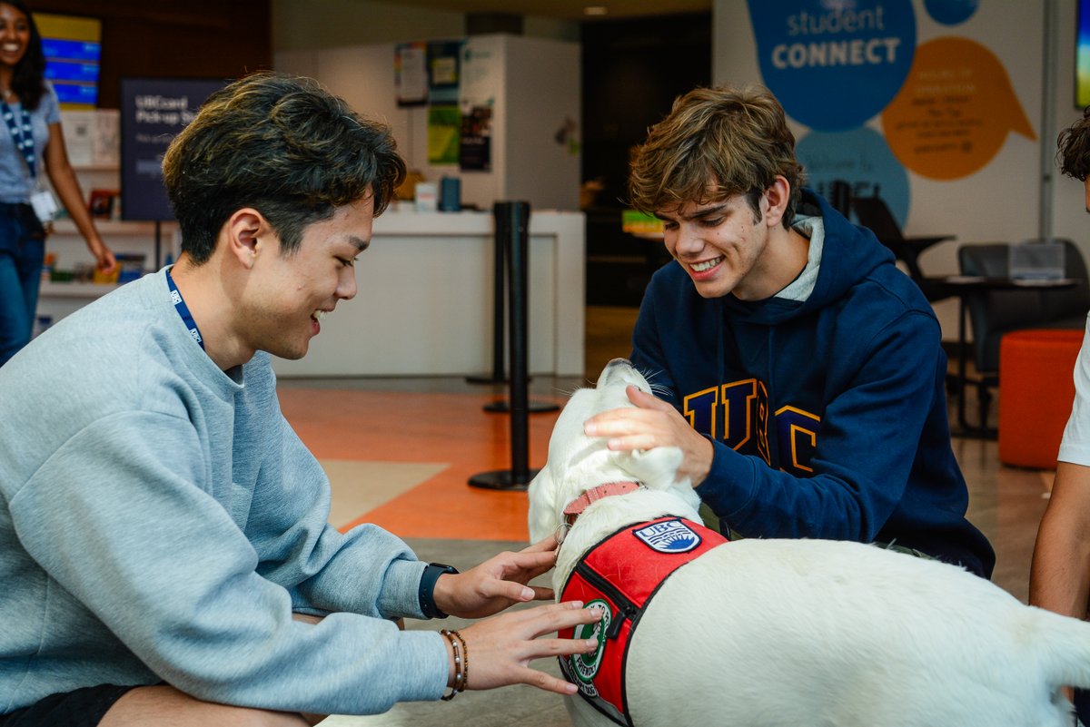 🐶 Why donate to B.A.R.K. on April 3rd? 

University life can be stressful, and for many students, B.A.R.K. is a lifeline. Your donation helps us provide more free, accessible therapy dog sessions.

🐾 Help Students in Need! Donate on April 3rd: givingday.ubc.ca/31090/gd2025/1…