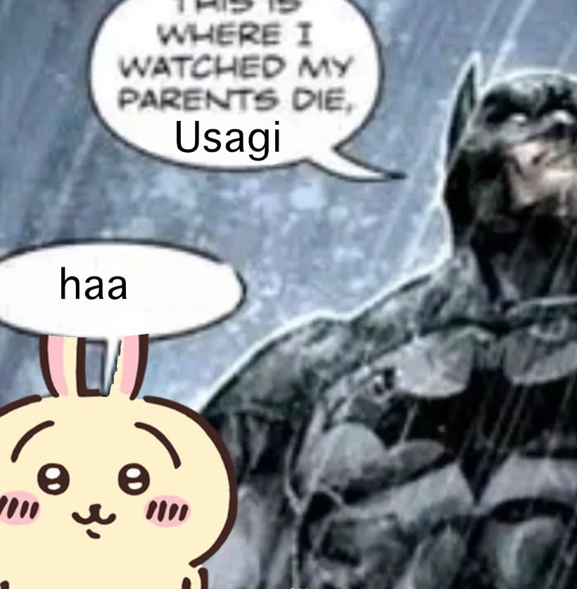 usagi (@usagidarabbit) on Twitter photo 