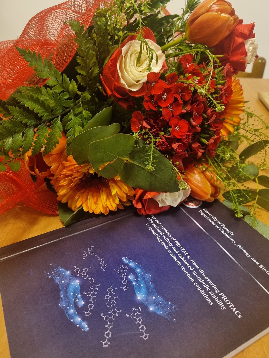 On March 28th, I had the honor of defending my PhD thesis in Chemical Sciences. <a href="/UniperugiaNews/">Università degli Studi di Perugia</a> Department of Chemistry,  Biology and Biotechnology.