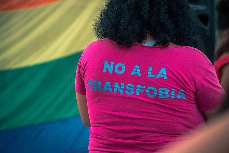 Hoy es el Día Internacional de la Visibilidad Transgénero 🏳️‍⚧️ 🏳️‍⚧️

La festividad fue fundada por la activista transgénero estadounidense Rachel Crandall en 2009 (+)

📸:TitiNicola, CC BY-SA 4.0