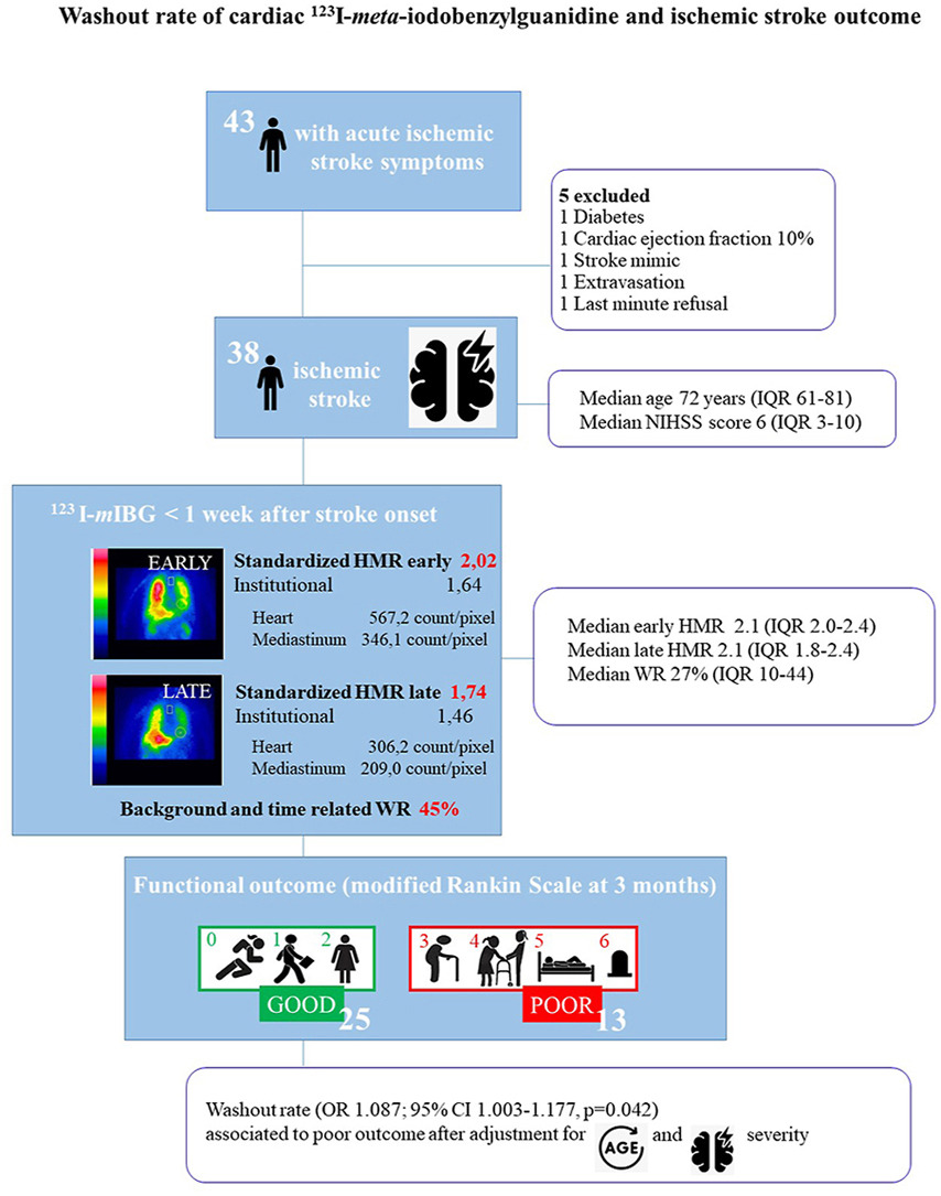 Journal of Nuclear Cardiology (@jncjournal) on Twitter photo In patients with acute ischemic stroke, washout rate of 123I-meta-iodobenzylguanidine is associated with poor functional outcome even after adjusting for age and stroke severity! <a href="/NEURgroup/">NEUR Research group</a> #cvnuc
Read now👉bit.ly/42m53kJ In patients with acute ischemic stroke, washout rate of 123I-meta-iodobenzylguanidine is associated with poor functional outcome even after adjusting for age and stroke severity! <a href="/NEURgroup/">NEUR Research group</a> #cvnuc
Read now👉bit.ly/42m53kJ