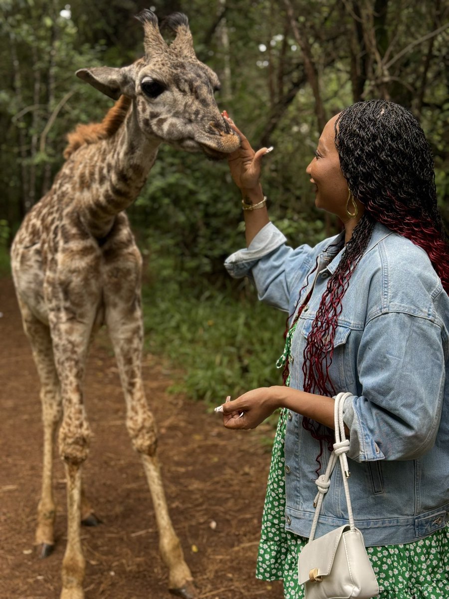 ash1durr's tweet image. It’s April here in Kenya. 
Here is an Aries girl in her element. 
You’re welcome ✨