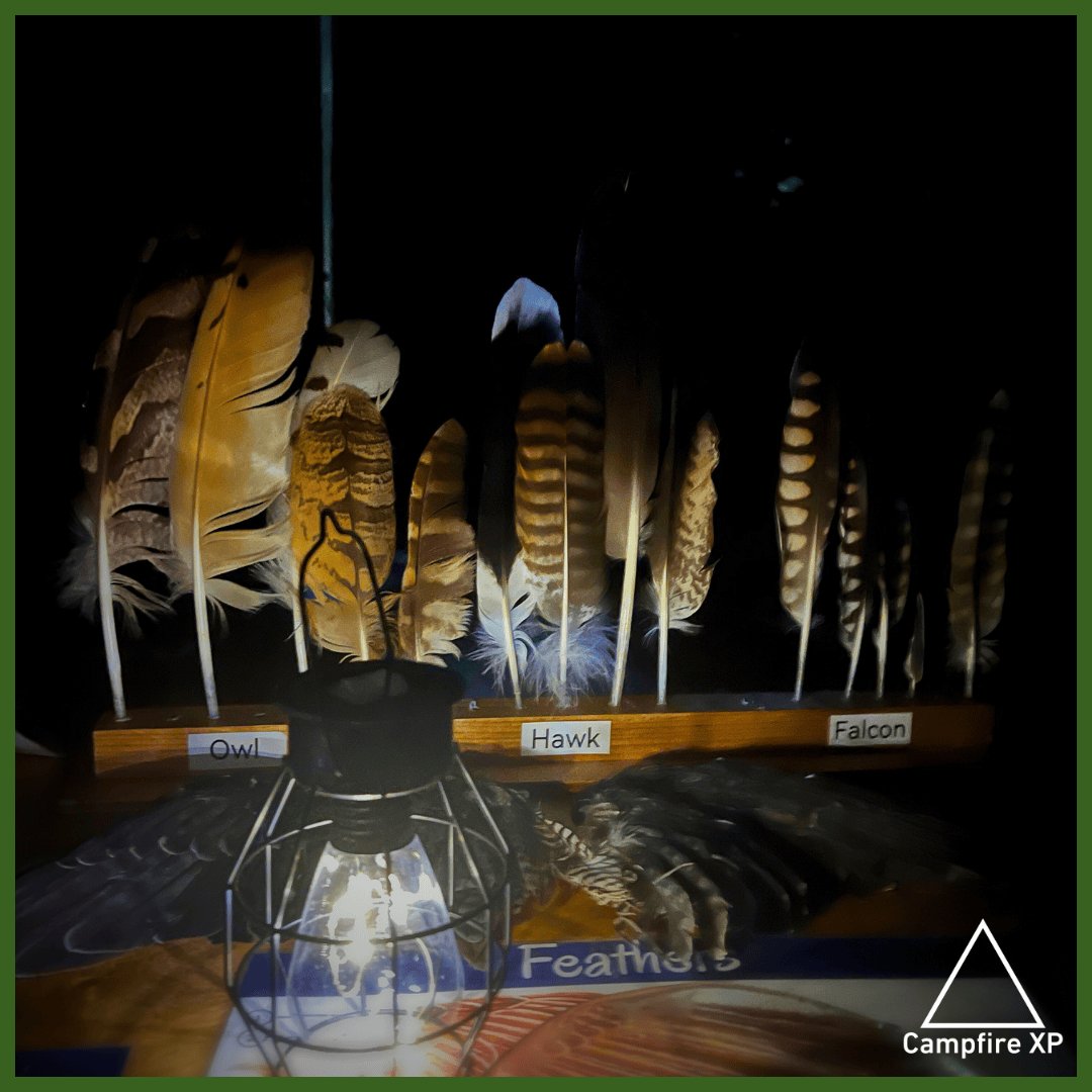 campfire_xp's tweet image. Guests in March enjoyed an enchanting evening with Wren's Birds of Prey's Jenny & her owls, learning about species, habitats & conservation. Cakes from our new supplier @cotswoldbaking went down a treat. £120 was donated to Chrissie's Owls rescue! Thanks for your support 🦉✨️