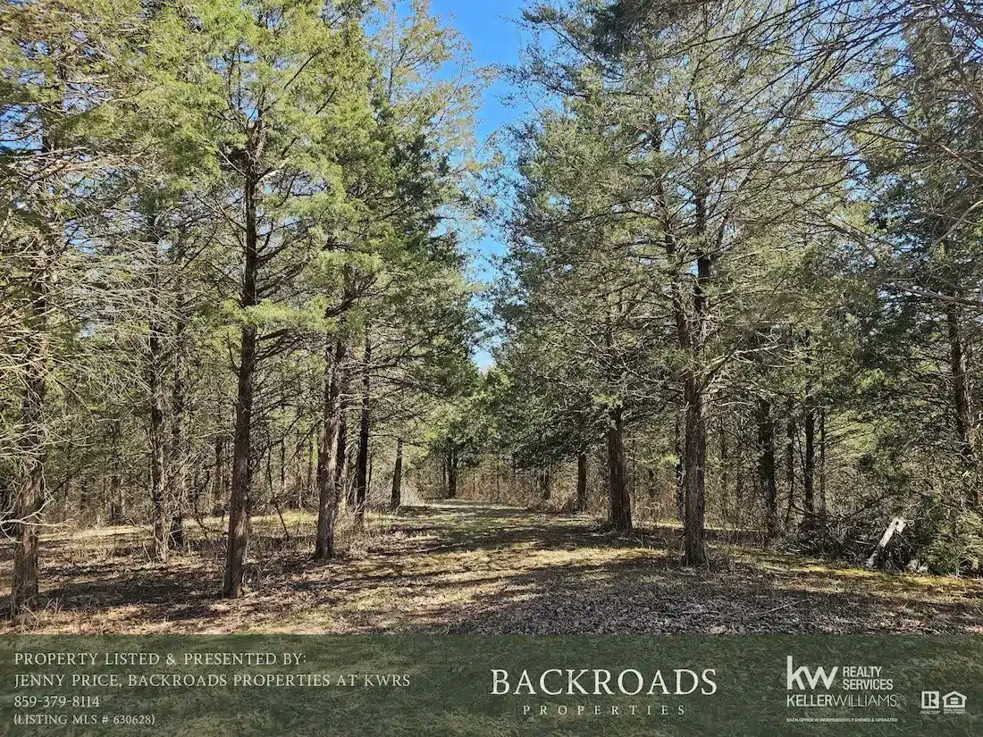 Backroads Properties tweet media
