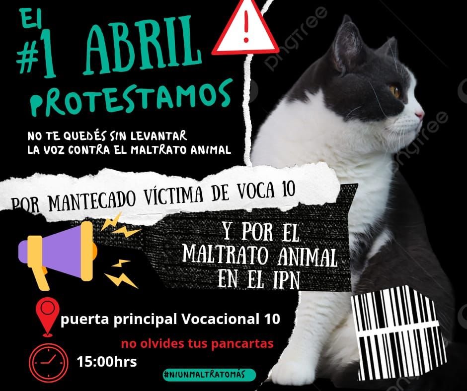 REDAC ANIMAL tweet media