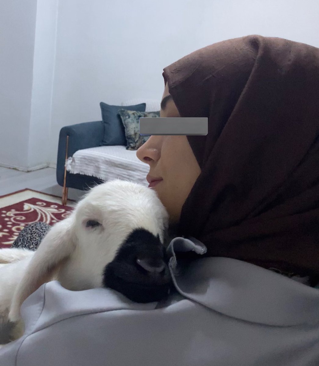 Tamam korkma bu ramazan bayramı