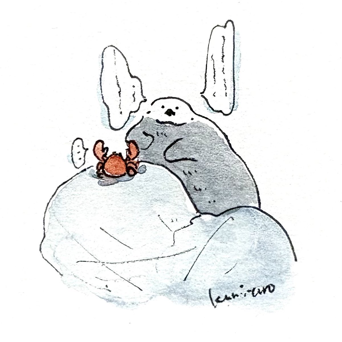 くみたろ tweet media