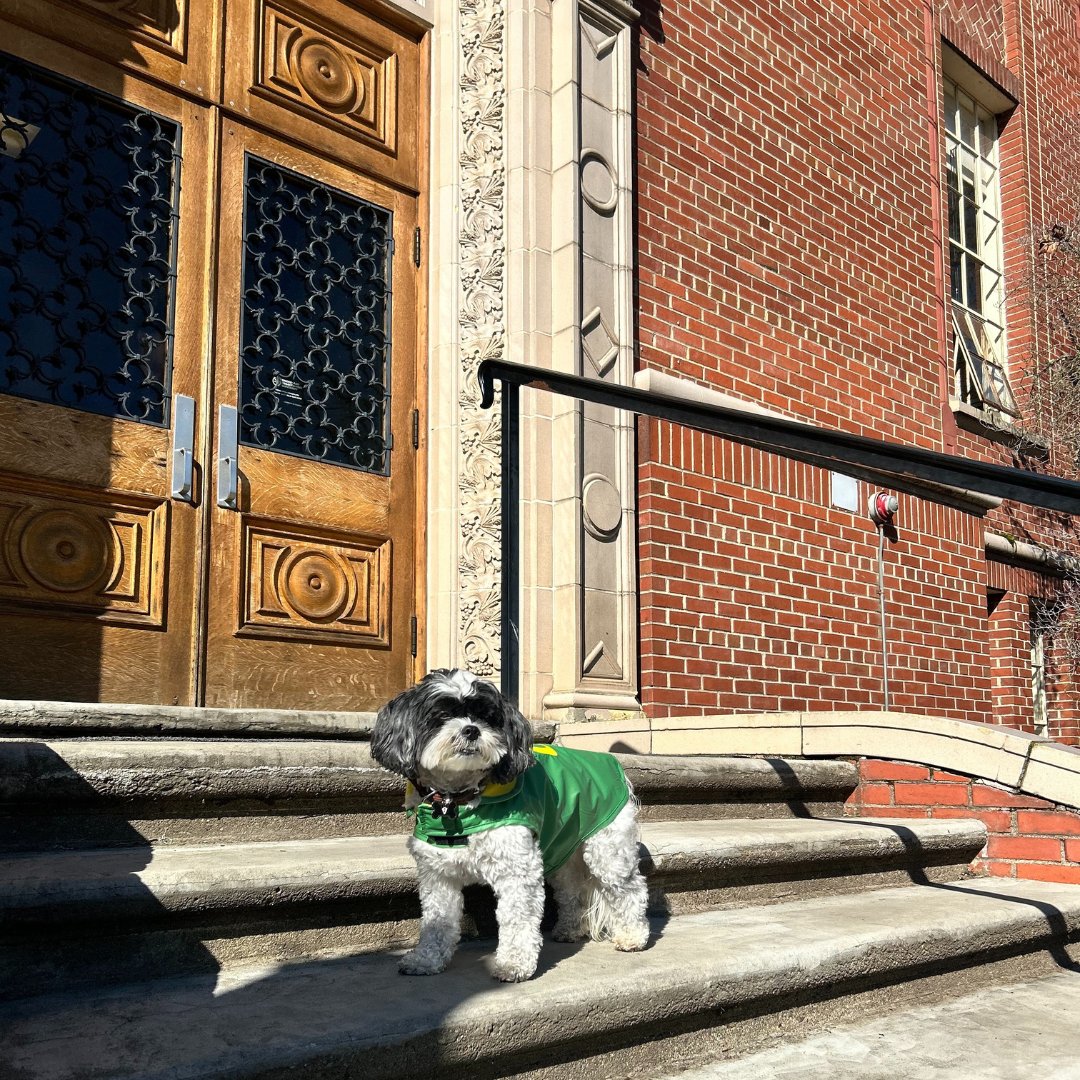 uohousing's tweet image. Happy day one of spring term, Ducks! We hope you are all finding your way to your classes and looking forward to some warm weather! ☀️

#springterm #uoregon