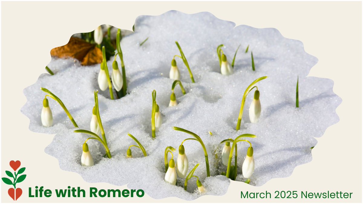 Life with Romero - 2025 March Newsletter - mailchi.mp/romerohouse/20… Stay up to date with community news, upcoming events, and inspiring stories. Learn how you can get involved as a House Coordinator or join the University Womens Club Toronto for an exciting fundraiser.